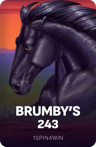 Brumby's 243