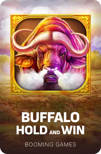Buffalo Hold and Win