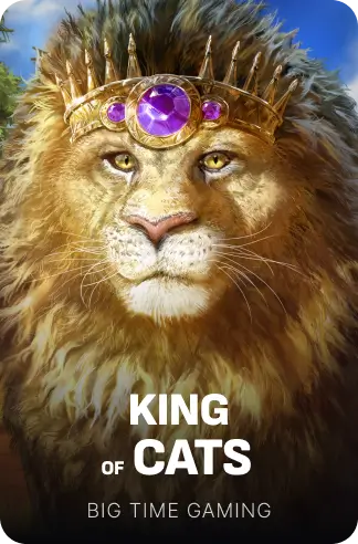 King of Cats
