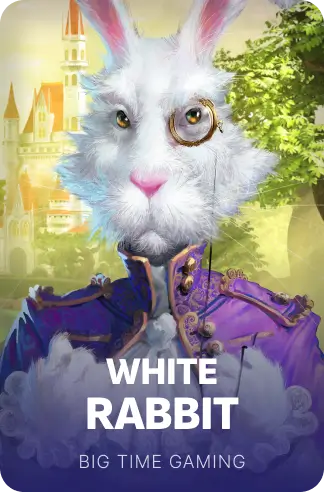 White Rabbit