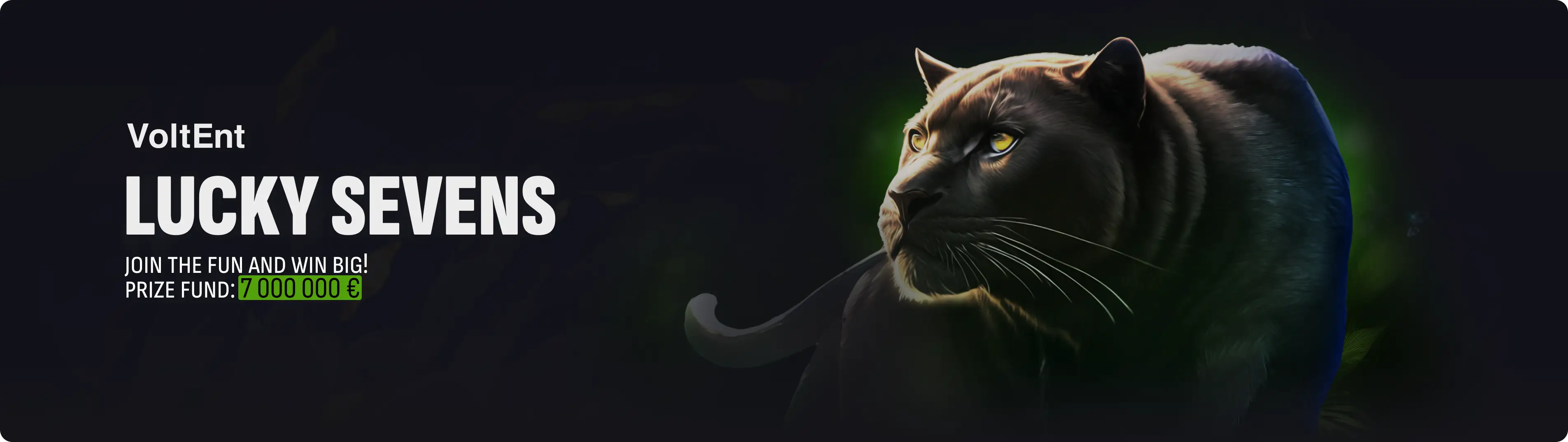 promoImage