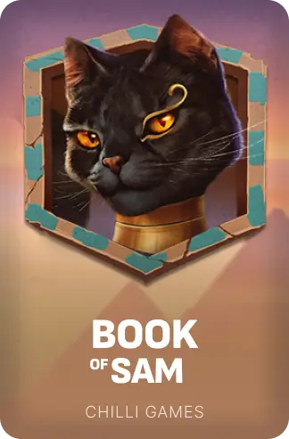 Book of Sam