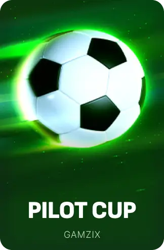 Pilot Cup
