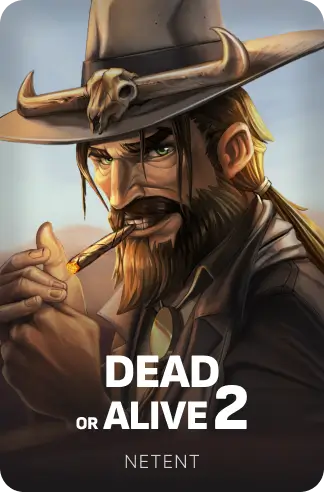 Dead or Alive 2