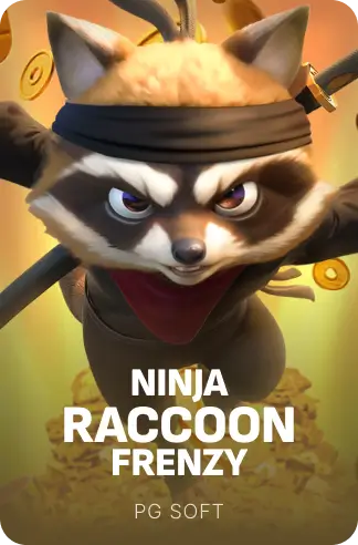 Ninja Raccoon Frenzy