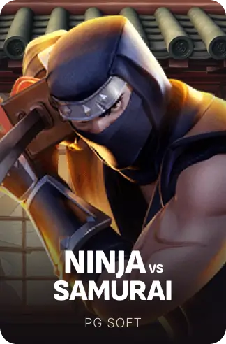Ninja vs Samurai
