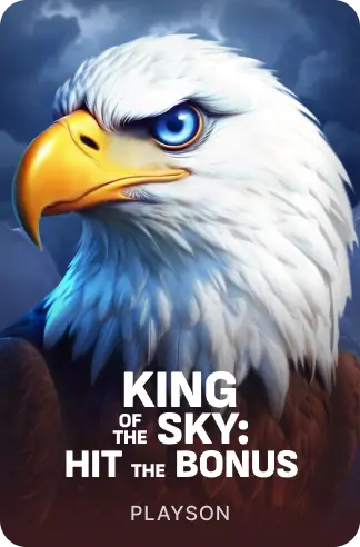 King of the Sky: Hit the Bonus™