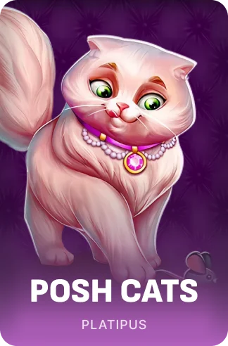 Posh Cats