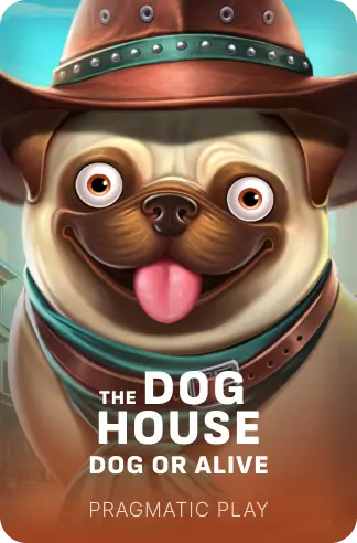 The Dog House – Dog or Alive