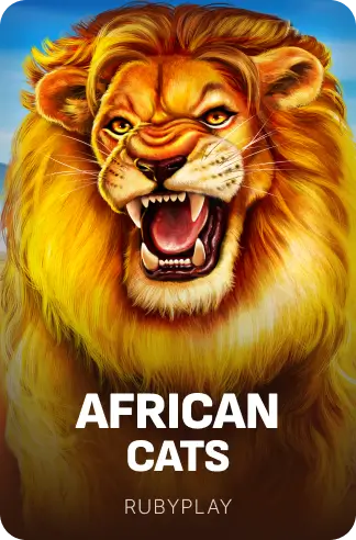 African Cats
