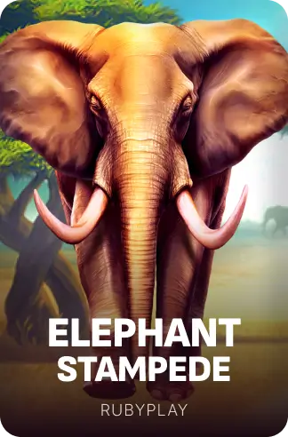 Elephant Stampede