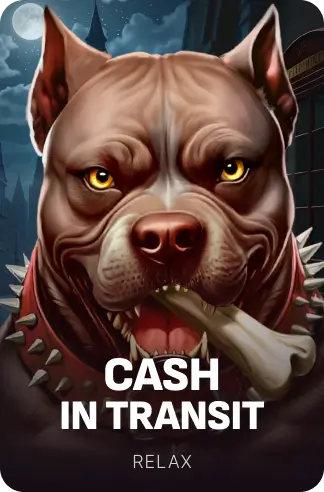 Cash in Transit