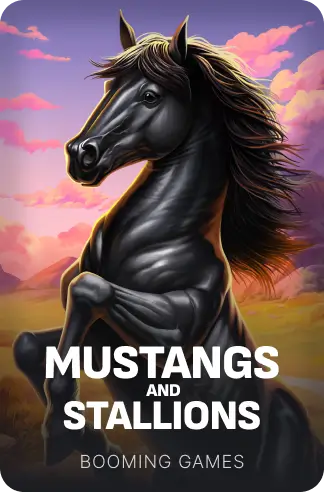 Mustangs and Stallions
