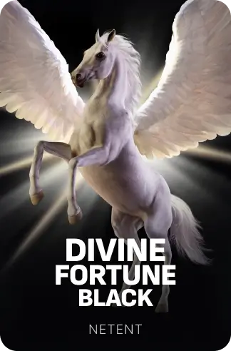 Divine Fortune Black