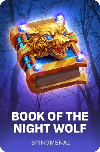 Book Of The Night Wolf