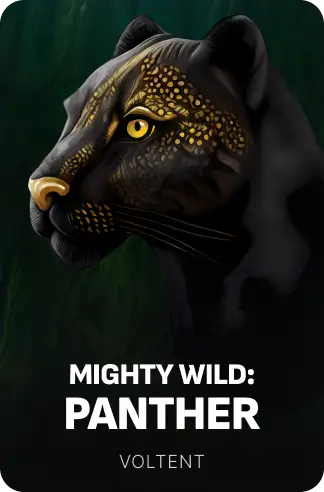 Mighty Wild: Panther